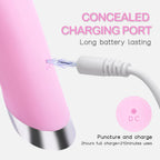 Electric Facial Cleaner