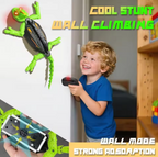 Electric remote control lizard wall climbing Toy